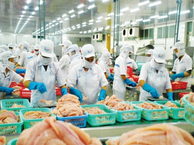 After Covid-19 epidemic peak, Chinese market opens again to Vietnams catfish