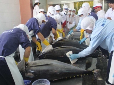 Việt Nams tuna exports to US, Europe forecast to rise as people stock up amid pandemic