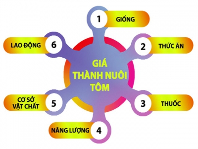 Một số biện pháp giảm giá thành nuôi tôm