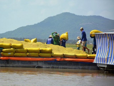 An Giang Province asks for permission to export rice