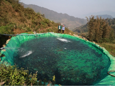 Sa Pa salmon farmers hit by pandemic