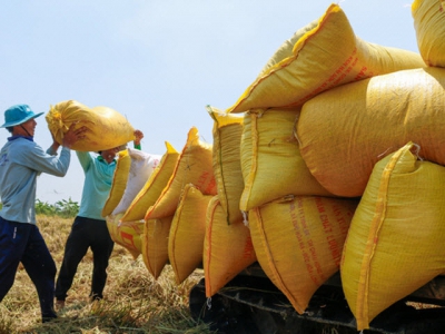 Rice exports cross $1 bln on higher prices