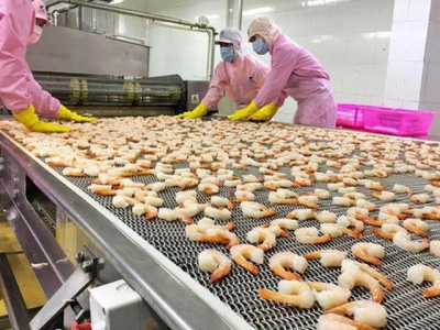 Shrimp exports to European market climb robustly