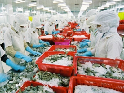 Shrimp businesses intensify greater investment for long-term development