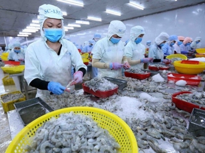 Vietnams aquatic exports increase by 3% in first quarter of 2021