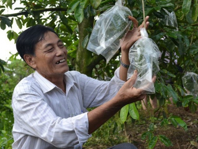 Nearly 40,000 ha of fruit trees possibly face water shortage in Mekong Delta