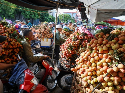 Vietnamese lychee to be sold online for first time