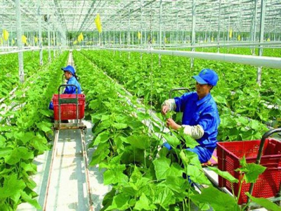 Propose nearly VND9 trillion to support agriculture