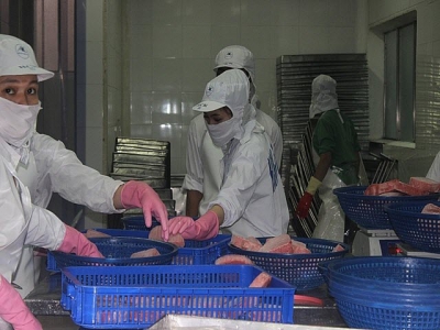 Canned seafood exports rise