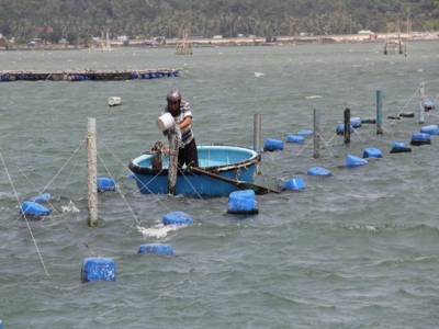 Vietnams $8 billion seafood industry warned of risks