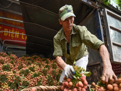 Bring Vietnamese agriculture products to e-commerce platforms