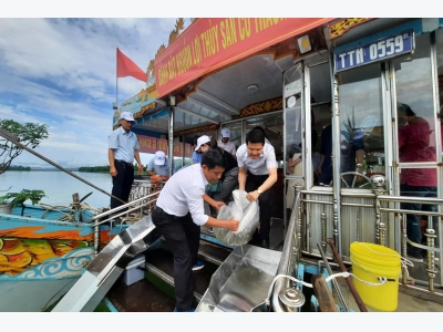 Thả hàng chục ngàn con cá để tái tạo nguồn lợi thuỷ sản trên sông Hương