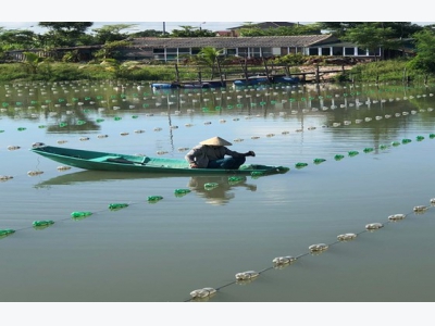 Tín hiệu mừng từ mô hình thí điểm nuôi trai nước ngọt lấy ngọc tại Thành phố Hà Tĩnh