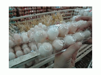 Dễ Mua Nhầm Trứng Gà Ác “Giả”
