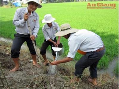 Phát Triển Cánh Đồng Mẫu Lớn