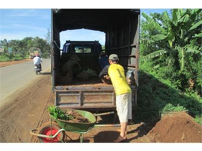 Mùa Trồng Mới Chú Ý Chất Lượng Cây Giống