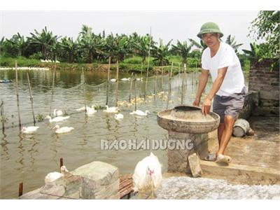 Làm Giàu Trên Đất Nhiễm Phèn