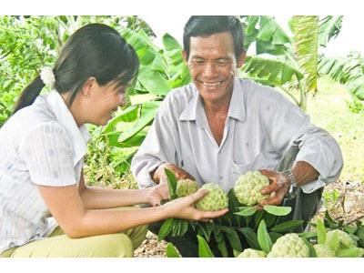 Mãng Cầu Vẫn Là Loại Trái Cây Có Giá