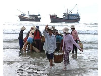 Công An Hải Dương Bồi Thường Cho Ngư Dân Cần Giờ