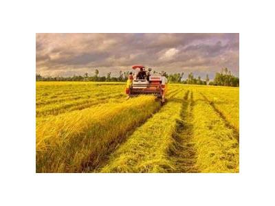 EU Tiếp Tục Là Nhà Tài Trợ ODA Lớn Nhất Cho Việt Nam