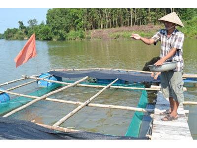 Nuôi Cá Nước Ngọt Chưa Thể Chuyên Nghiệp