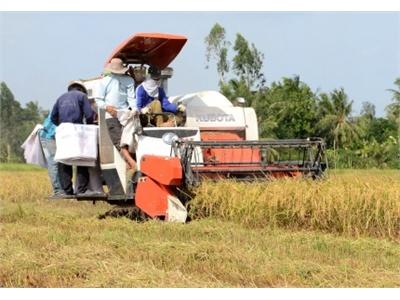 Vận Hội Mới Cho Nhà Nông