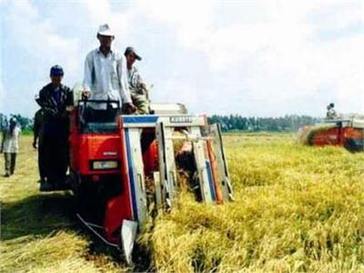 Khẩn Trương Thu Hoạch Lúa Xuân, Làm Vụ Mùa
