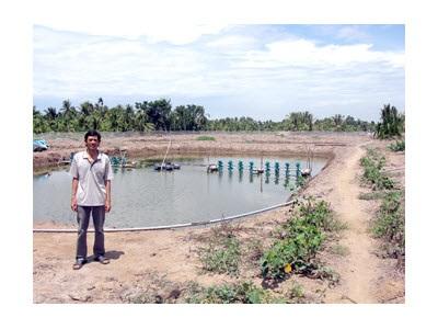 Trăn Trở Vì Tôm Thẻ Chân Trắng