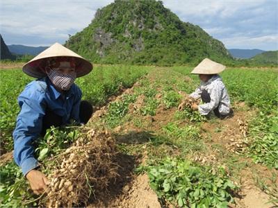 Tiếp Sức Cho Mùa Lạc...