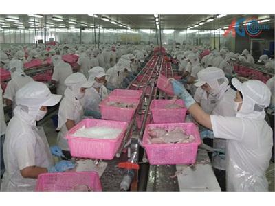 Để Cá Tra Vượt Qua Rào Cản Phi Thuế Quan?