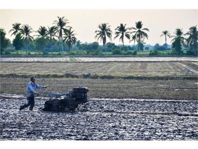 Một Số Đề Tài Nông Nghiệp Ứng Dụng Có Hiệu Quả