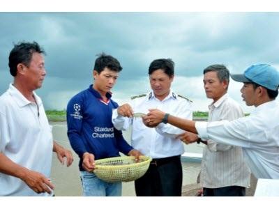Cà Mau Lo Dịch Bệnh Trên Tôm Bùng Phát