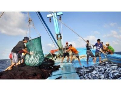 Khánh Hòa Hỗ Trợ Ngư Dân Tiếp Cận Thị Trường