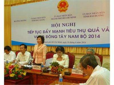 Khơi Thông Kênh Tiêu Thụ Vải Thiều Vào Đông, Tây Nam Bộ