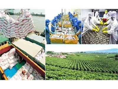 Sản Xuất Nông Thủy Sản Phục Hồi Lo Thị Trường Tiêu Thụ Co Hẹp!