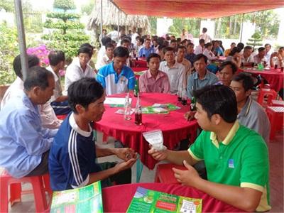 Thị Trường Phân Bón Lối Đi Riêng, Khó Khăn Chung