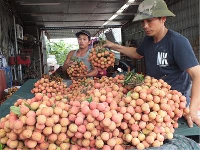 Chê Trung Quốc, Vải Thiều Thanh Hà Nam Tiến