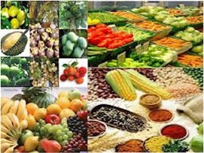 Thị Xã Bình Minh (Vĩnh Long) Thu Hoạch Trên 17.000 Tấn Trái Cây