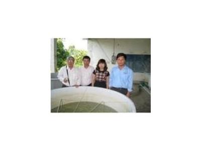 Kỹ thuật nuôi chạch đồng
