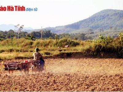300 ha sản xuất lúa hè thu ở Hương Khê thiếu nước gieo cấy