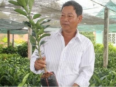 Giống cây ăn quả bán chạy
