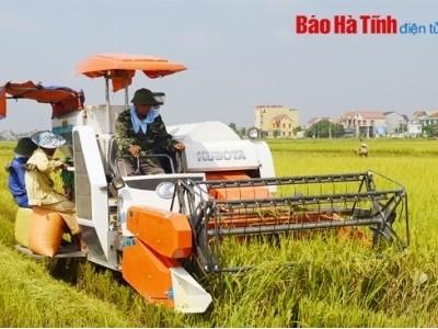 Thành công từ chuyển đổi cơ cấu