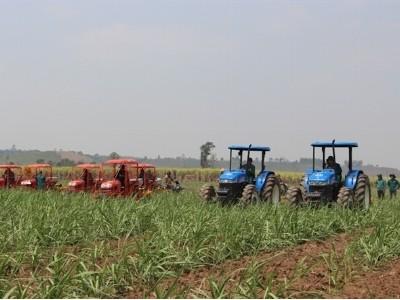 Doanh nghiệp đầu tư vào nông nghiệp không phải là mốt!