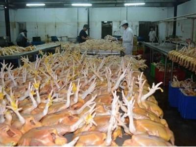 Tăng cường quản lý VSATTP cơ sở giết mổ gia súc, gia cầm
