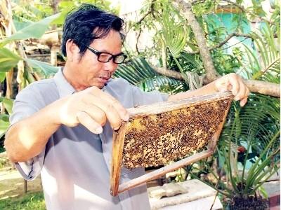 Nghề nuôi ong ở Quảng Yên (Quảng Ninh)