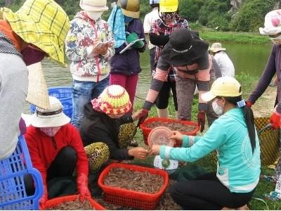 Khó khăn cho người nuôi tôm ở huyện Đông Hòa (Phú Yên)