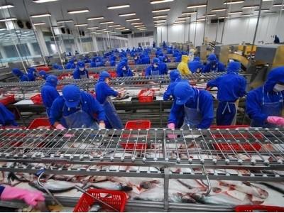 Giải nguy cho nhiều nông sản xuất khẩu