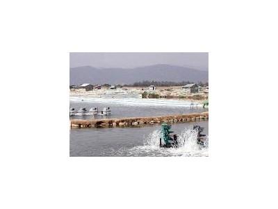 Một số biện pháp quản lý nuôi trồng thủy sản trong mùa mưa bão