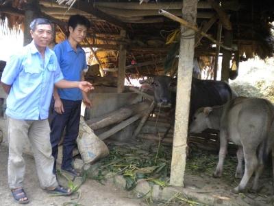 Người Tổ trưởng Tổ tiết kiệm và vay vốn năng động