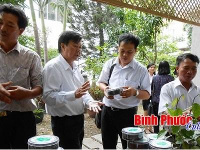 Đưa hồ tiêu Lộc Ninh vươn xa trên thị trường thế giới